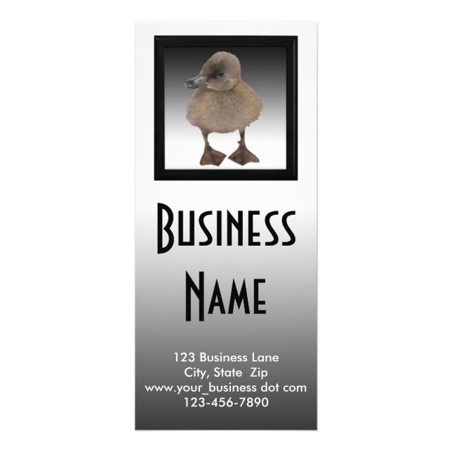 Carte Publicitaire Adorable Grey Duckling Photographie Affaires (Devant)