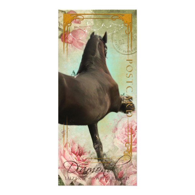 Carte Publicitaire DIAMANT - Rackcard 3/carte postale (Devant)