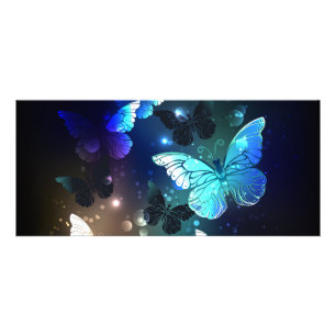 Carte Publicitaire Papillon de nuit