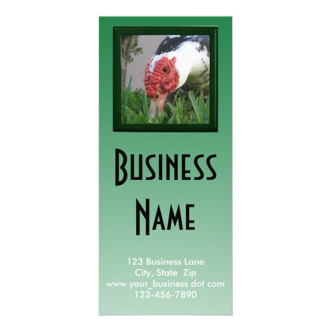 Carte Publicitaire Un oeil de canard - photo de fond Modèle d'entrepr (Devant)