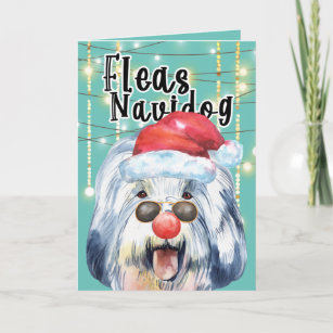 Carte Puces de Noël des chiens de mouton anglais amusant