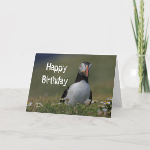 Carte Puffin Anniversaire Salutations
