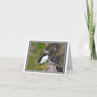 Carte Puffin ! L'île de Staffa, Écosse