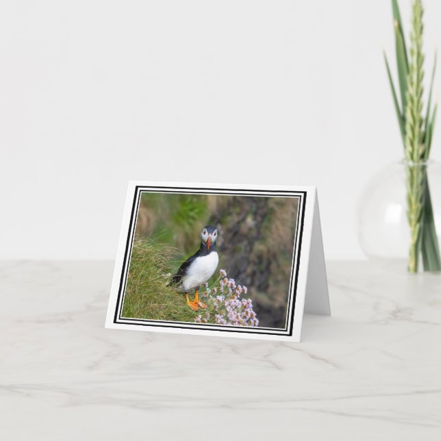 Carte Puffin ! L'île de Staffa, Écosse (Devant)