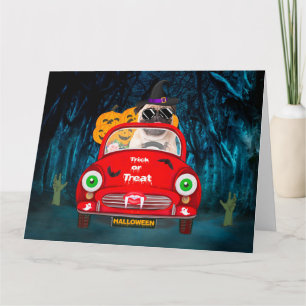 Carte Pug Chien Conduisant une Voiture Effrayante Hallo