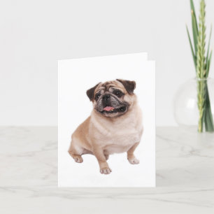 Carte Pug Puppy Dog Blank Greeting Note
