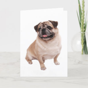 Carte Pug Puppy Dog Blank Greeting Note Card