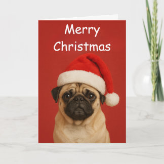 Carte Pug with a Santa hat Custom Christmas Greeting