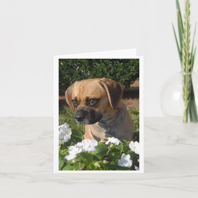 Carte Puggles (Devant)