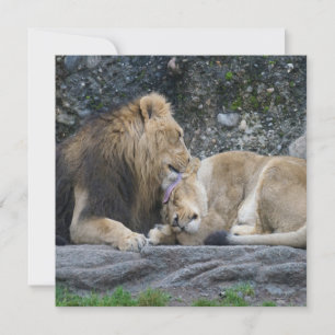 Carte Puissant amour Lion