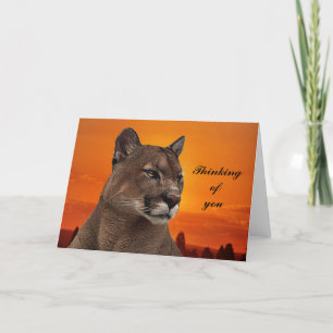 Carte Puma au coucher du soleil