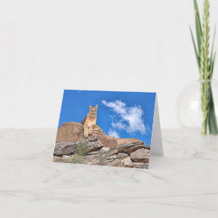 Carte Puma sur la garde