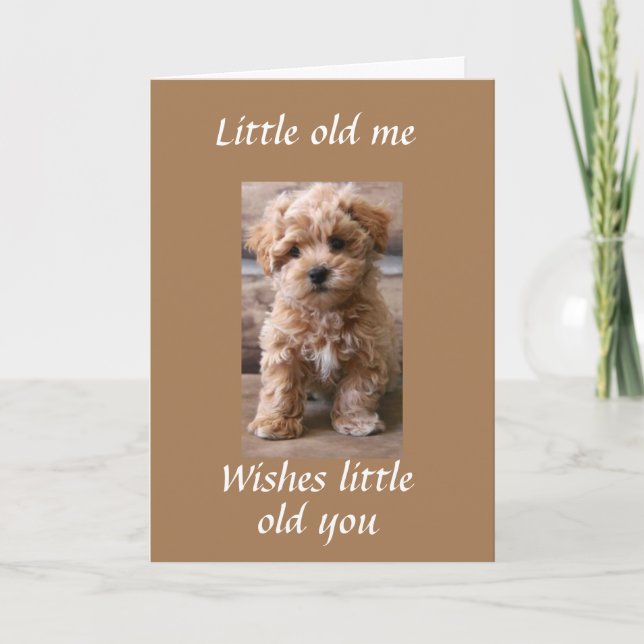 CARTE PUP AIDE À DIRE **HEUREUX ANNIVERSAIRE DE TWIN** (Devant)