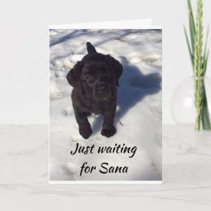 CARTE *PUP ATTEND PÈRE NOËL* JOYEZ NOËL