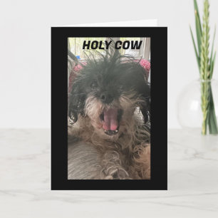 CARTE PUP EST BAFFLED-COMMENT AVEZ-VOUS TOURNÉ "60"