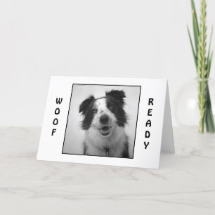 CARTE PUP EST "WOOF AND READY" CÉLÈBRE ANNIVERSAIRE MUTU