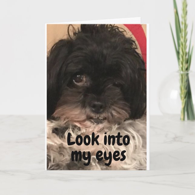 CARTE PUP VOUS DIT "HEUREUX ANNIVERSAIRE" ! (Devant)