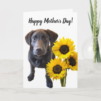 Carte Puppy et Sunflower de Black Lab