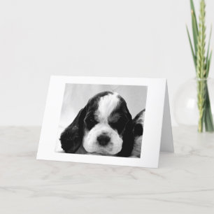 CARTE PUPPY SAYS "SAY IT ISN'T SO"