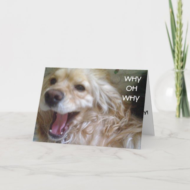 CARTE "PUPPY WOES" BATTU ANNIVERSAIRE (Devant)