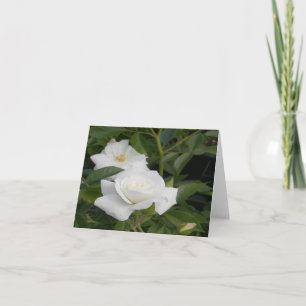 Carte Pureté et paix...