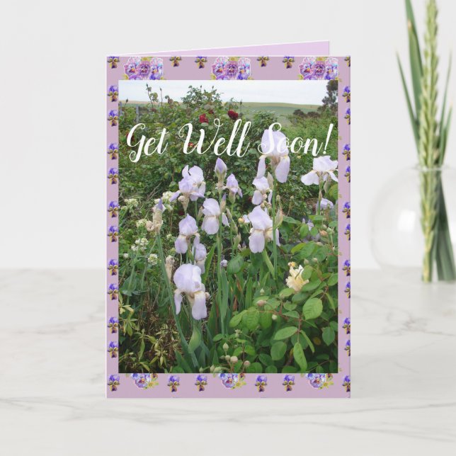Carte Purple Iris Iris Garden Se Bien Prochainement Cart (Devant)