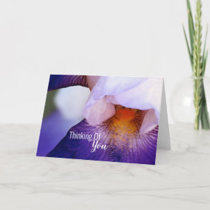Carte Purple Iris Pense À Vous