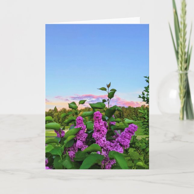 Carte Purple Lilac (Devant)