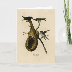 Carte Purple Martin de Audubon's Birds of America