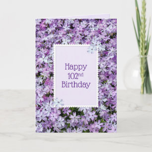 Carte Purple Phlox Pour 102e Anniversaire