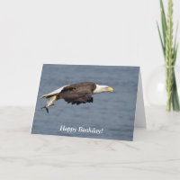 Pygargue à tête blanche avec un poisson