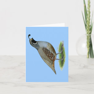 Carte Quail de la Californie