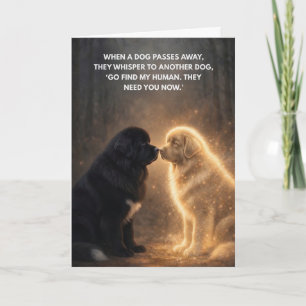 Carte Quand un chien s'en va