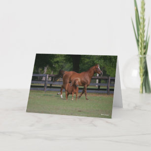 Carte Quartier Cheval et Miniature ensemble