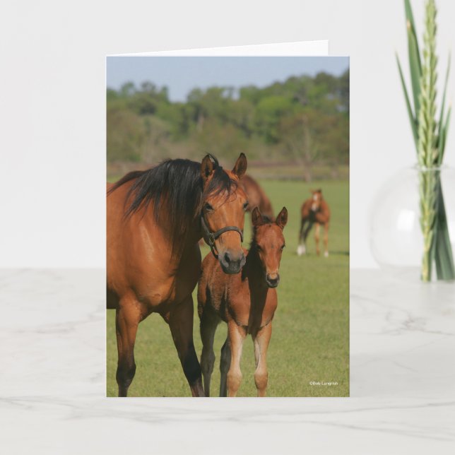 Carte Quartier Cheval Mare Et Foie Debout (Devant)