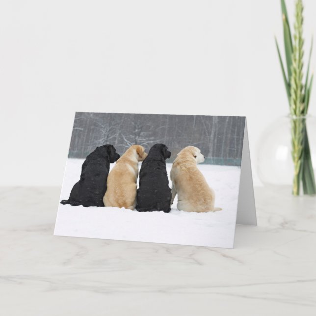 Carte Quatre Chiens Du Labrador En Neige (Devant)