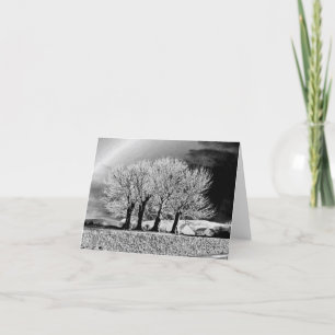 Carte Quatre Soeurs