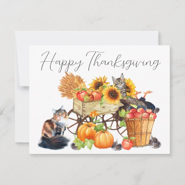 Carte Quelle Turquie ? Innocent Chats Thanksgiving Invit (Devant)