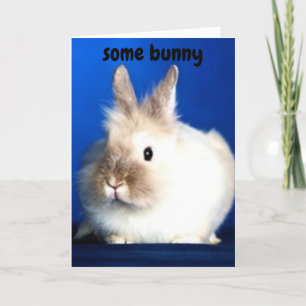CARTE QUELQUE LAPIN AIME "VOUS"
