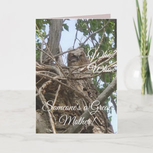 Carte Quelqu'un est la meilleure mère   Baby Owl in Tree
