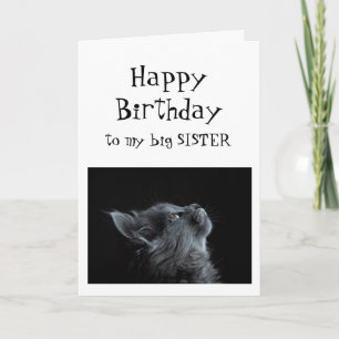 Carte Quelqu'un que je recherche à l'humour animal