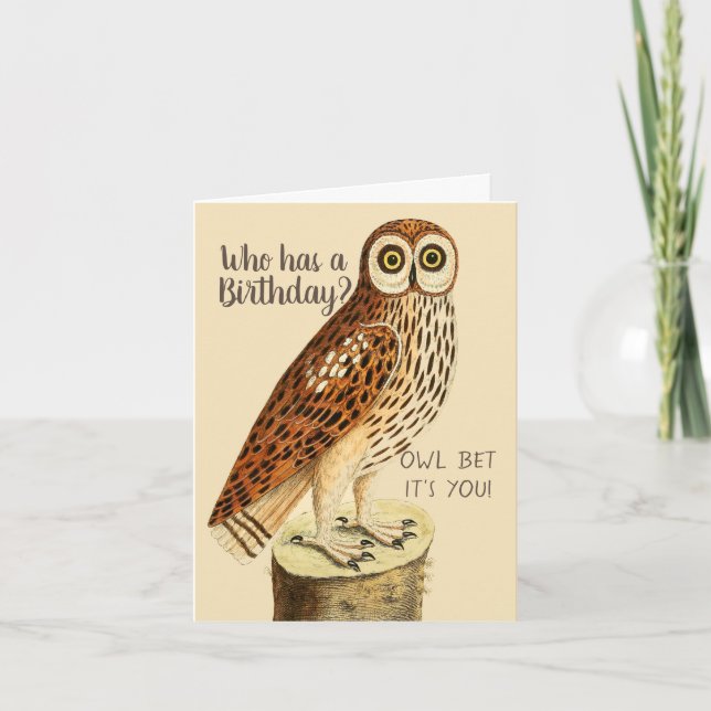 Carte Qui a un hibou d'anniversaire pari C'est vous la c (Devant)