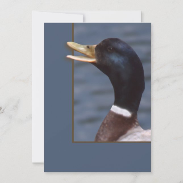 Carte Quitter (Devant)