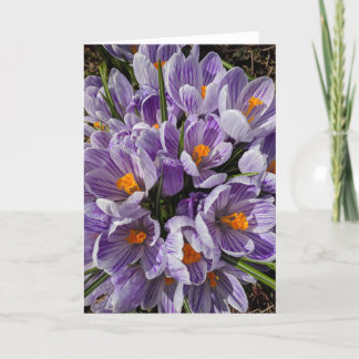 Carte Qu'y a-t-il dans les cadres ? #9