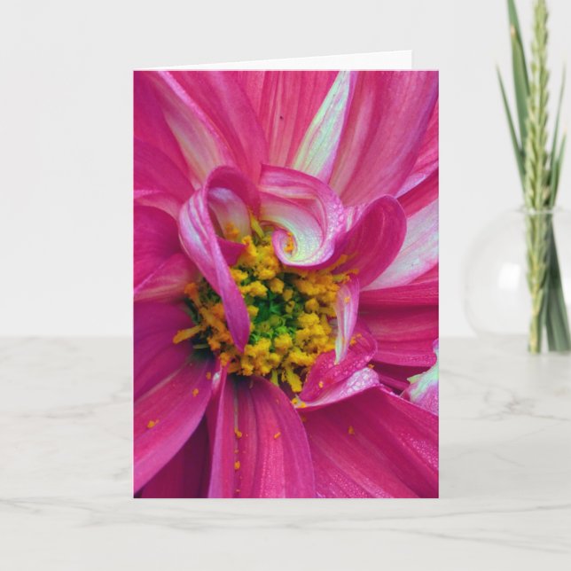 Carte Qu'y a-t-il dans les cadres ? N° 4 (Devant)