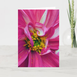 Carte Qu'y a-t-il dans les cadres ? N° 4