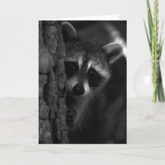 Carte Raccoon de Peek-a-Boo