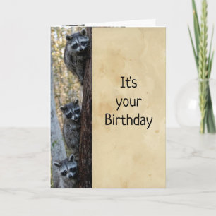 Carte Raccoons & I ici pour souhaiter un Humour d'annive