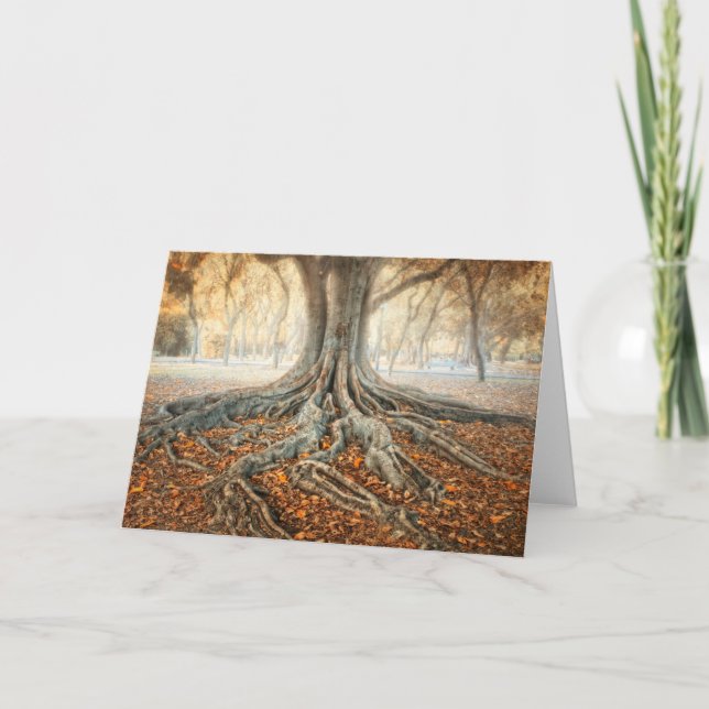 Carte Racines de l'arbre antique (Devant)