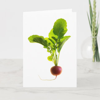 Carte Radisson rouge